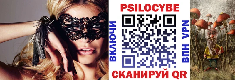 Галлюциногенные грибы Psilocybine cubensis  Томск 